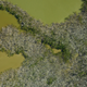 A swath of mangrove forest in Ten Thousand Islands captured by NASA during flyovers on December 1 2017 (three months after).